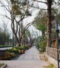 Lake View Park