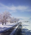 Pishin Valley