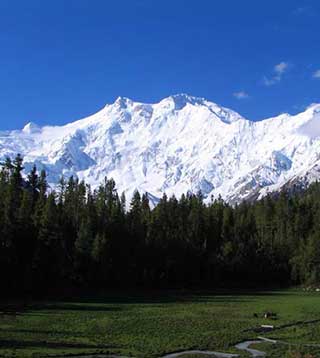 Fairy Meadows