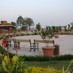 A Garden in Lake View Park