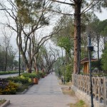 A Footpath in Lake View Park