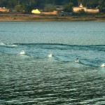 Khanpur Dam Lake and village