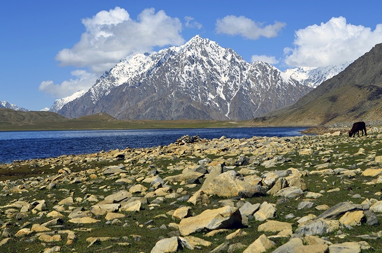 Shandur